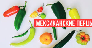 Мексиканские перцы