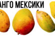 Манго Мексики