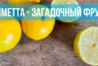 Лиметта – загадочный фрукт